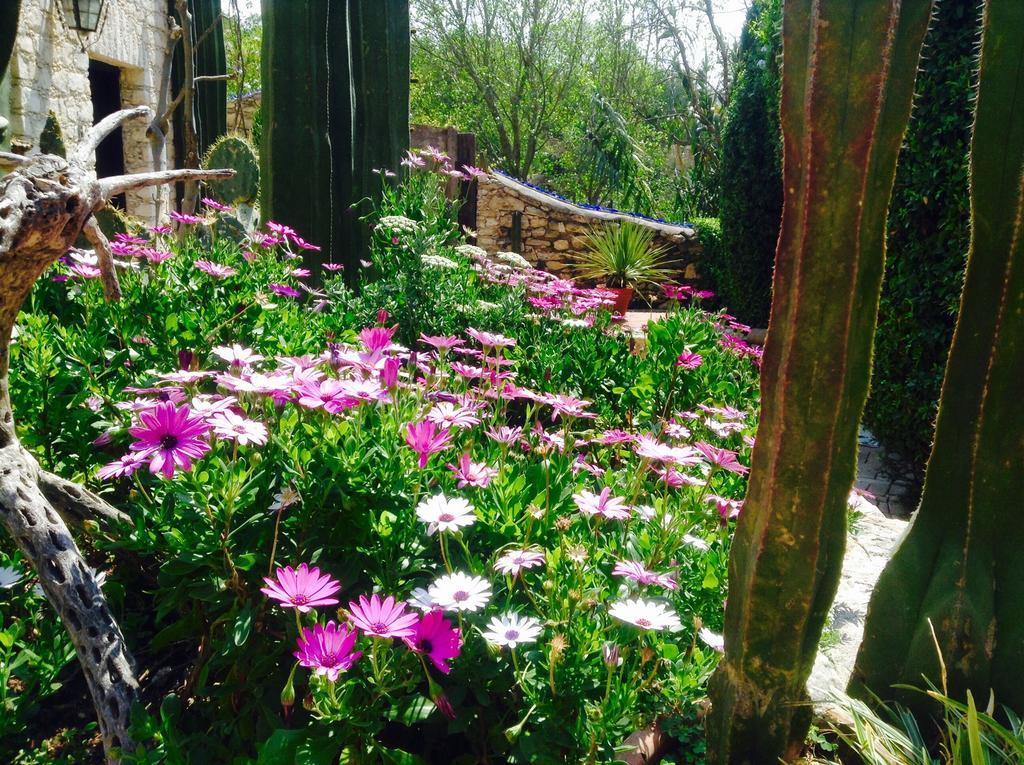 Hotel Secreto Pozos  Ngoại thất bức ảnh