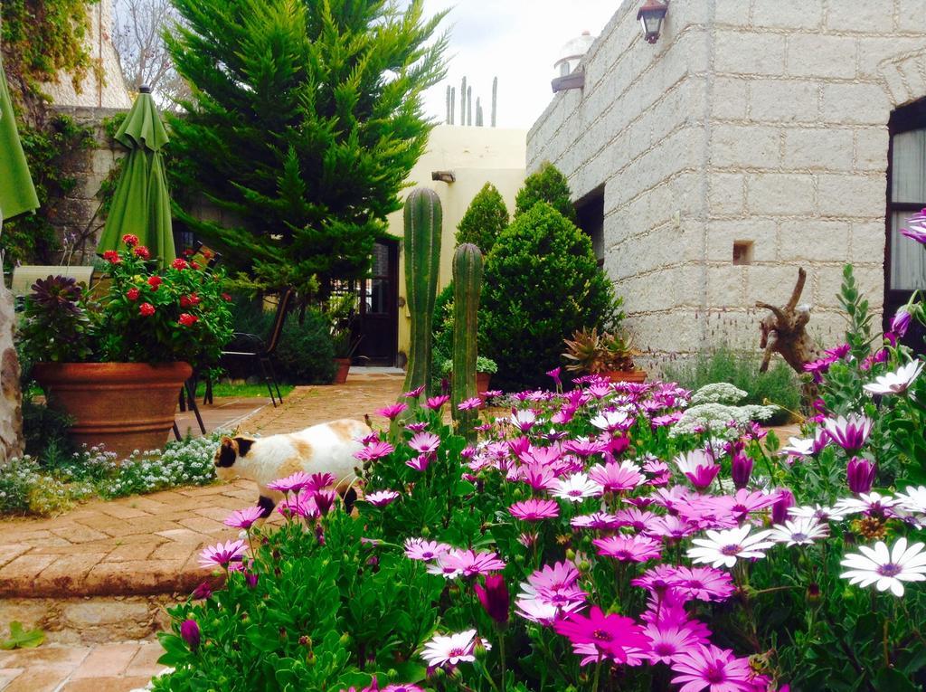 Hotel Secreto Pozos  Ngoại thất bức ảnh