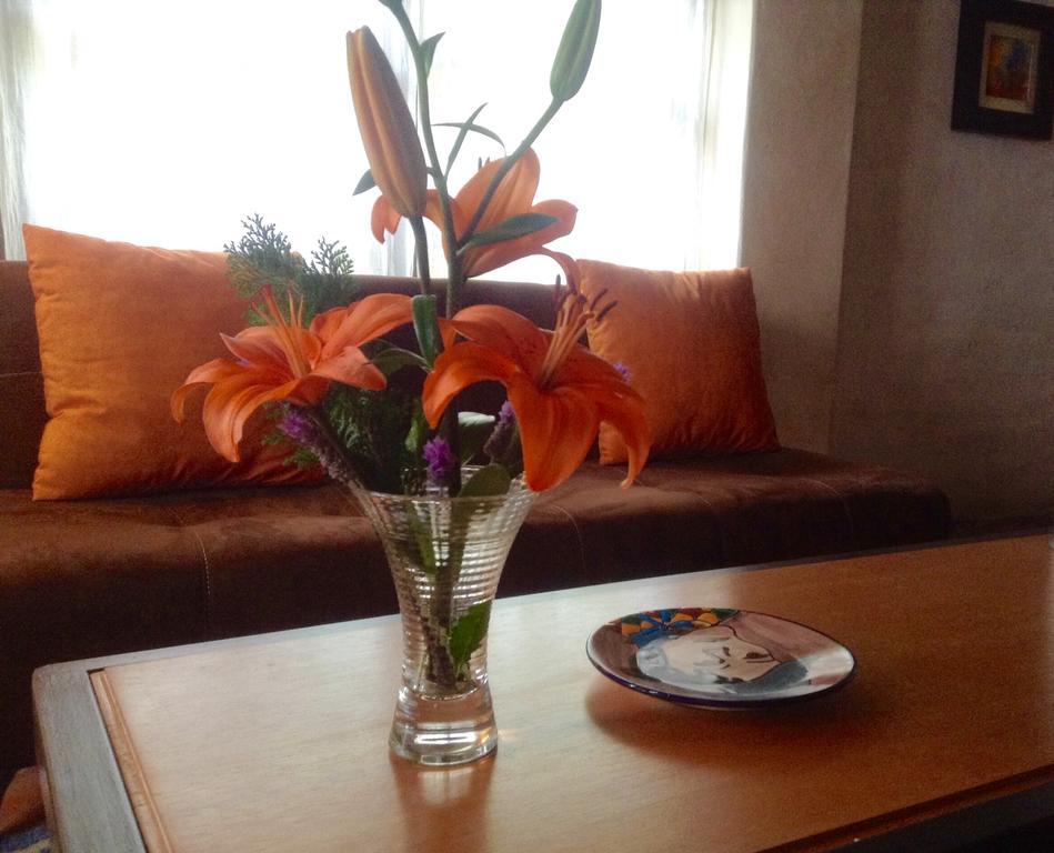 Hotel Secreto Pozos  Ngoại thất bức ảnh