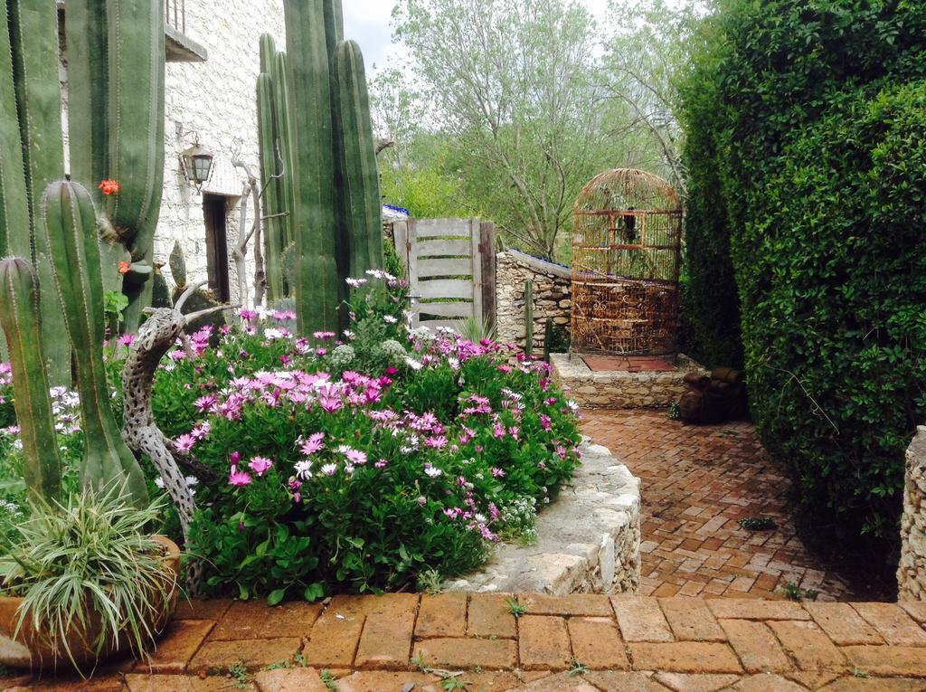 Hotel Secreto Pozos  Ngoại thất bức ảnh